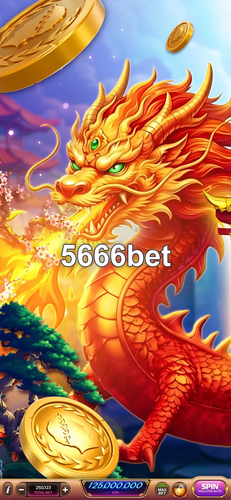 5666bet লগইন